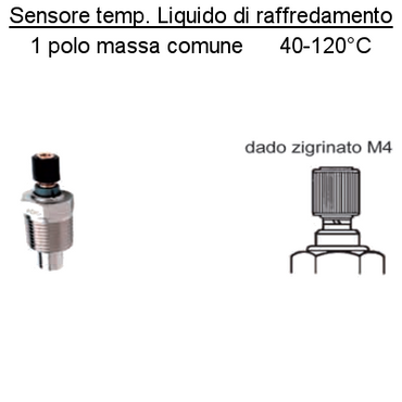 Sensore Temperatura Liquido Raffredamento Motore Barca 40-120°, 1 polo dado M4
