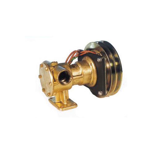 Pompa Acqua Mare Raffreddamento per motore Barca in Bronzo  Pompa Pm 36em 12V