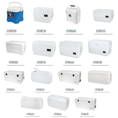 Ghiacciaia Portatile IGLOO, Barca, Camper, Outdoor, Vasca Vivo da 11 a 157 lt